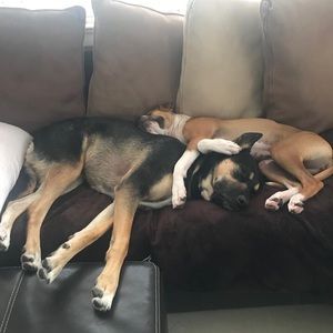 Meet your Posher, Alan